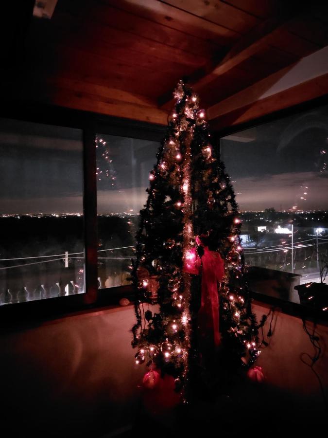 Apartment Roxy Alto Belvedere *